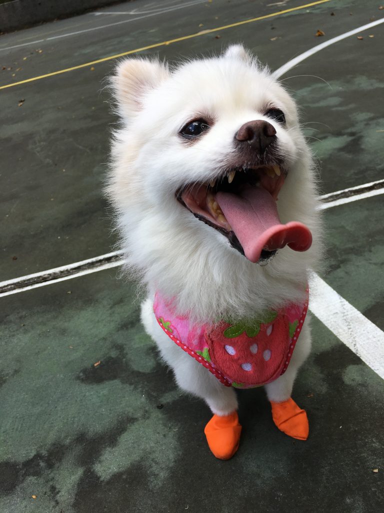 Walk walk walk